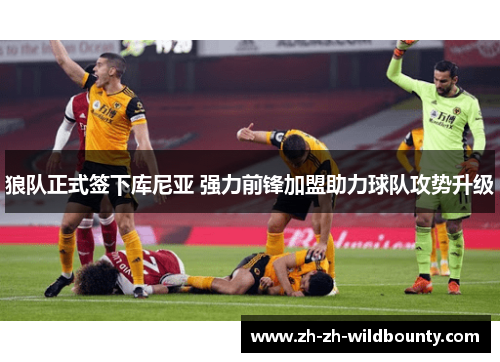 狼队正式签下库尼亚 强力前锋加盟助力球队攻势升级